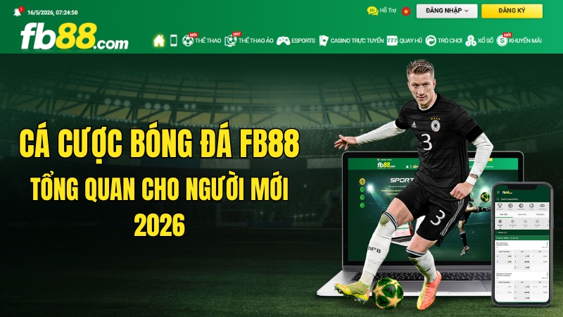 Cá Cược Bóng Đá FB88 – Tổng Quan Cho Người Mới