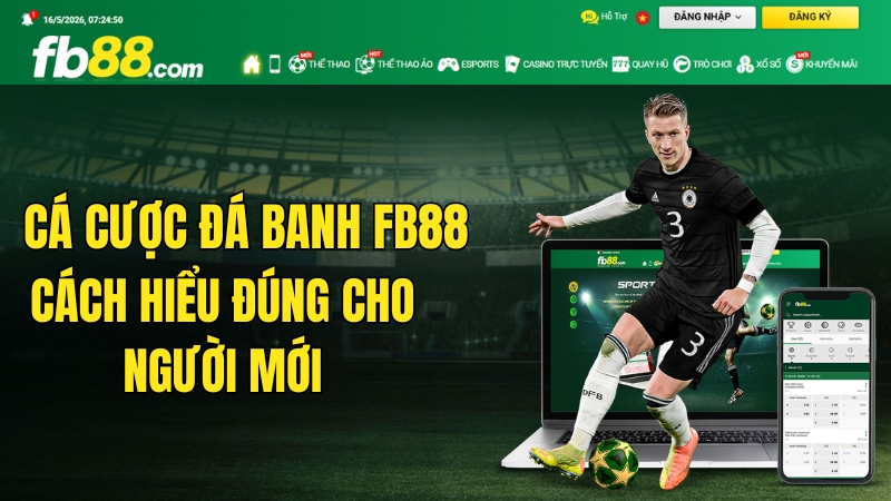 Cá Cược Đá Banh FB88 – Cách Hiểu Đúng Cho Người Mới